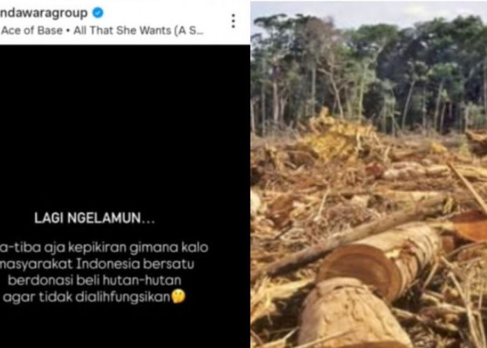 Pasca Banjir Sumatera, Viral Ajakan Patungan Beli Hutan dari Netizen Demi Selamatkan Satwa dan Ekosistem