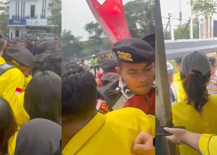 Viral! Mahasiswa Disebut 'Pisang Ambon' Saat Dicegat Polisi, Klaim Tak Ada yang Mendengar Aspirasi di HI