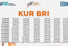 Butuh Modal Usaha? Pinjaman KUR BRI Rp14 Juta Tanpa Jaminan & Bunga 6 Persen, Yuk Cek Syaratnya di Sini!