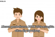 Pelamar PPPK Awas Ketinggalan! Inilah Alasan Mengapa Pendaftaran Harus Diperpanjang, Apa Aja Ya?