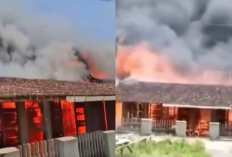 Heboh Kebakaran Pati! Bukan Faktor Listrik, Dua Rumah Kayu Dibakar Akibat Masalah Keluarga