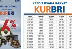 Syarat dan Cara Pengajuan KUR BRI Rp25 Juta, Bunga 6 Persen dan Tenor Fleksibel , Yuk Ajukan Sekarang!