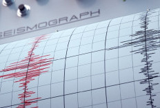 Update! Pasca M6,5, Nabire Kembali Dihajar 50 Kali Gempa Susulan