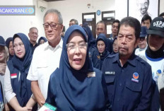 Tanggapi Mosi Tak Percaya, Ini Kata Ketua Nasdem Kota Palembang 