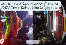 Sopir Bus Kecelakaan Maut Studi Tour SD OKU Timur Kabur, Polisi Lakukan Ini
