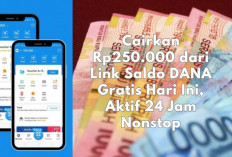 Cairkan Rp250.000 dari Link Saldo DANA Gratis Hari Ini, Aktif 24 Jam Nonstop