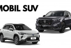 3 Rekomendasi Mobil SUV Irit BBM yang Cocok untuk Keluarga, Apa Saja Ya? 