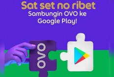 Cara Mudah Menghubungkan OVO ke Google Play, Makin Praktis dalam Transaksi Digital, Yuk Simak...