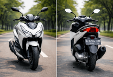 Cari Motor Baru? Ini Update Harga Motor Honda Januari 2026 dari BeAT sampai Forza