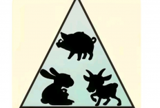 Kelinci, Kambing, Babi Kombinasi Shio yang Membawa Keberuntungan dalam Cinta dan Karier!