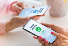 Pengguna Ponsel Terima Scam Setiap Minggu, Komdigi Ingatkan Kerugian Sudah Capai Rp7 Triliun