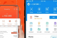 No Drama! Tips Jitu Transfer Saldo ShopeePay ke DANA, Mudah dan Cepat yang 100 Persen Berhasil