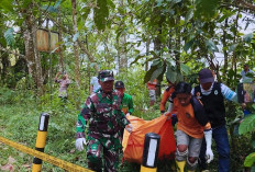 Ngeri! Penemuan Mayat Pria Berlumuran Luka di Hutan Jombang, Diduga Korban Pembunuhan?