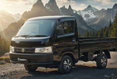 5 Kelebihan Suzuki Carry Pick Up, Mobil Pekerja Keras yang Jadi Sahabat Pengusaha! 