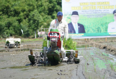 Peringatan Keras dari Wamenntan untuk Penyalahgunaan Alsintan: 