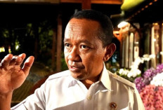 Pemerintah Gaspol, Bahlil Ungkap 13 Proyek Hilirisasi Rp239 Triliun Segera Final 