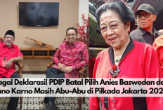 Gagal Deklarasi! Anies Baswedan dan Rano Karno Masih Abu-Abu di Pilkada Jakarta 2024, PDIP Batal Mendukung? 