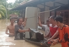 Sumsel Berduka! Sebanyak 1.237 Rumah di Muara Enim Terendam Banjir dan 6.605 Warga Terdampak, Ini Penyebabnya