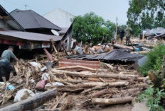 Tapanuli Tengah Lumpuh, Banjir Bandang Rendam Ratusan Rumah dan Puluhan Warga Mengungsi!