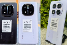 Spek Gahar! Redmi Note 14 Pro 5G dengan Layar Tajam dan Tangguh, Cek Disini..