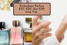 Perbedaan EDT, EDC dan EDP! Kolektor dan Pencinta Parfum Wajib Tau Nih Jangan Salah, Ini Ternyata... 