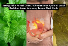 Sering Sakit Perut? Coba 7 Khasiat Daun Ajaib Ini untuk Redakan Asam Lambung Tanpa Obat Kimia