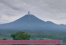 Gunung Semeru Erupsi 6 Kali Pagi Ini, Semburkan Abu Vulkanik Setinggi 900 Meter, BPBD Bilang Wajar, Kok Bisa?