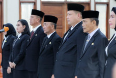 Rombak 8 Pejabat Eselon II Sumsel, Fitriana 'Balik Kandang' Ke Perpus Sumsel,