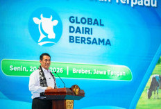 Mentan Amran Janjikan Stop Impor Susu, Ini Syaratnya
