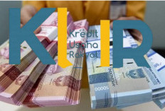 Pinjaman KUR BNI 2025 Bisa Buat Modal Usaha Cair Hingga Rp100 Juta, Ini Syarat Terbarunya