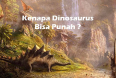Kenapa Hewan Sekuat dan Sebesar Dinosaurus Tidak Penah Terlihat Lagi di Daratan, Begini Penjelasannya..