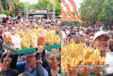 Viral! Pedagang Telur Gulung Dituduh Bohong Soal Total Dagangan yang Diborong Wali Kota Solo