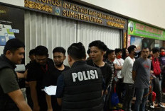 Hati-hati, Kemlu Ungkap WNI Terbanyak Jadi Korban TPPO Online Scam Didominasi Gen Z Bahkan Lulusan S2!