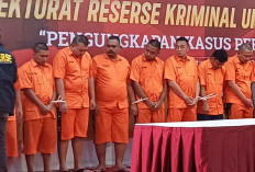 Rekam Jejak Alwin Jabarti yang Diduga Keponakan Ketum PDIP,  Tersangka Kasus Judol Komdigi