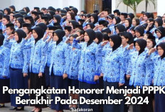 Proses Pengangkatan Honorer Menjadi PPPK Berakhir Pada Desember 2024 ini, Buruan Cek Jadwal Lengkapnya!