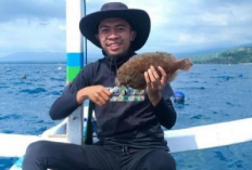 Viral! Dokter Wisnu Aditia Wardana Hilang Saat Memancing di Perairan Lombok Tengah, Diduga Perahu Terbalik...