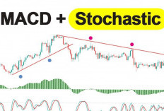 Terbongkar! Trik Trader Profesional Pakai MACD & Stochastic Untuk Entry Akurat
