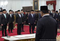 Terima Fasilitas Keuangan Setara Menteri, Apa Saja Tugas Utusan Khusus Presiden?