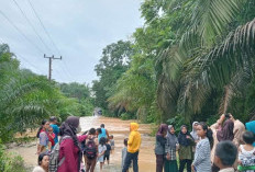 Sumatera Selatan Terkepung Banjir, Sejumlah Desa Terisolir, Warga di Bantaran Sungai Dihmbau Waspada!