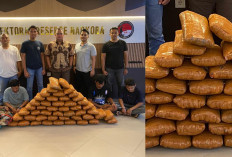 Polisi Gagalkan Peredaran 47 Kg Ganja Siap Edar di Sumbar Tepat Waktu, 4 Orang Langsung Diciduk