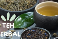 8 Jenis Teh Herbal yang Menyehatkan Bagi Kesehatan Tubuh, Kamu Harus Cobain dan Rasakan Manfaatnya…