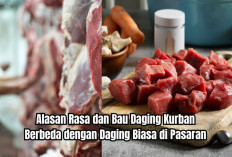 Wow, Ternyata Ini Alasan Rasa dan Bau Daging Kurban Berbeda dengan Daging Biasa di Pasaran!