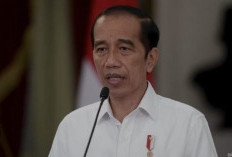 Jokowi Warning Indonesia Mengalami Kekeringan Perputaran Uang, Salah Siapa? 