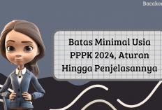 Pelamar PPPK 2024 Harus Tau Ini! Inilah Batas Minimal Usia, Aturan Hingga Penjelasannya