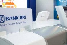 Info Loker! 3 Posisi di Rekrutmen Bank BRI Terbaru 2024: Ini Link, Syarat dan Cara Daftarnya