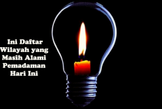PLN Pastikan Krisis Listrik Jawa Mulai Teratasi, Ini Daftar Wilayah yang Masih Alami Pemadaman Hari Ini