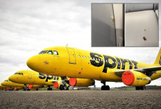 Pesawat Spirit Airlines Ditembak! Pramugari Terluka dan Terpaksa Mendarat Darurat, Bagaimana Nasib Penumpang?