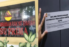 Resmi Bangkrut! Ini BPR Syariah Pertama yang Rontok di 2025, OJK Ungkap Alasannya!