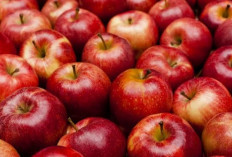 Nggak Perlu Mahal! 7 Manfaat Buah Apel untuk Kulit, Mulai dari Anti Penuaan hingga Perlindungan Sinar UV