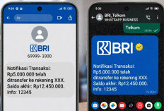 KPK Ungkap Dugaan Korupsi Rp2 Triliun di BRI dan Telkom, Notifikasi SMS WA Jadi Biang Kerok